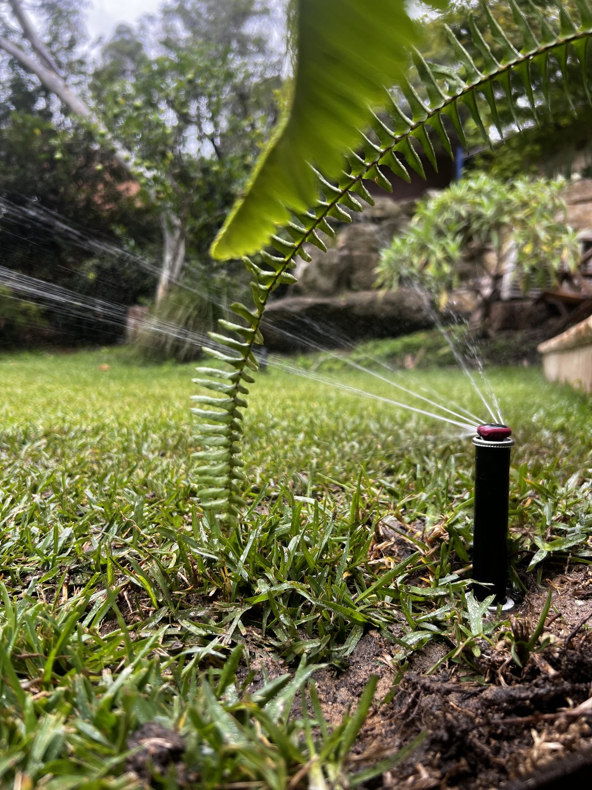 Lush garden with irrigation in action
